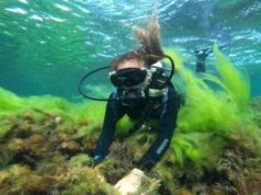 Дайвинг в Крыму: знакомство с подводным миром