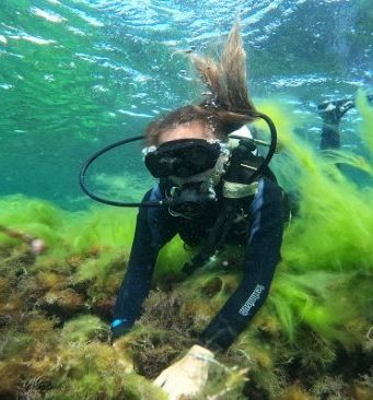 Дайвинг в Крыму: знакомство с подводным миром