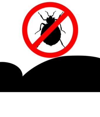 Как избавиться от клопов в квартире? Эффективные способы