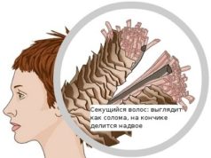 секущиеся кончики волос