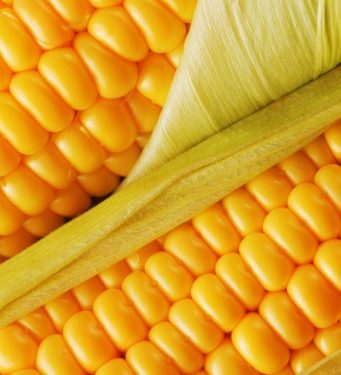 Как варить кукурузу. ответы на часто задаваемые вопросы
