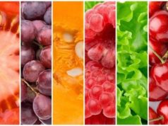 Виды вегетарианства. Их плюсы и минусы