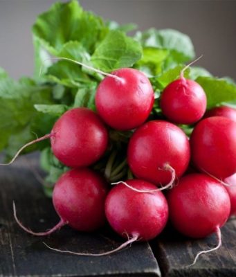 Какие сорта редиса выращивают в России и чем он полезен?