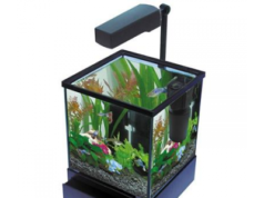 Аквариумные обитатели