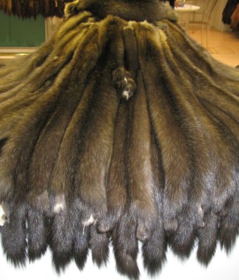 Шкурки соболя — способы их использования