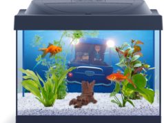 Фильтр для аквариума – внешний или внутренний?