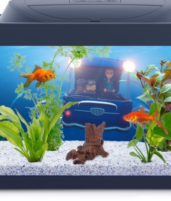 Фильтр для аквариума – внешний или внутренний?