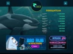 Какими отличительными особенностями выделяется casino Orca?