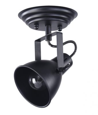 Что такое спот и как его использовать дома?