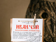 Иван-чай: лечебные свойства и противопоказания