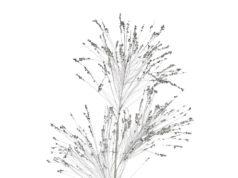 Ветки в интерьере: удивительный декор