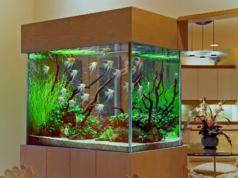 Этапы изготовления аквариума?