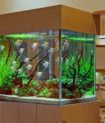 Этапы изготовления аквариума?