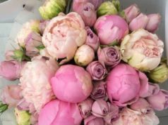 Цветы в Израиле: шикарный подарок любимой девушке