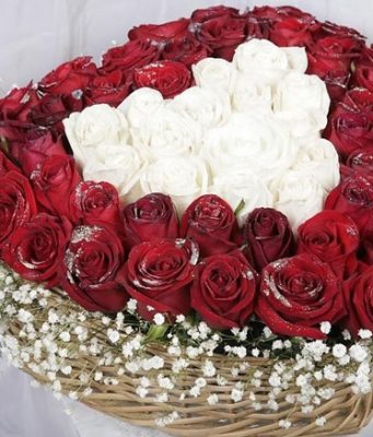 Розы на 14 февраля: символ любви