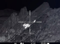 Принцип работы тепловизора для охоты