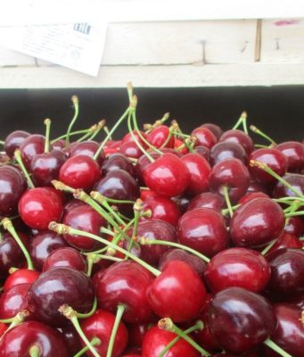 Где купить ягоды свежей черешни в Спб