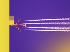 В Узбекистане экстренную посадку совершил самолет рейса Бангкок — Москва