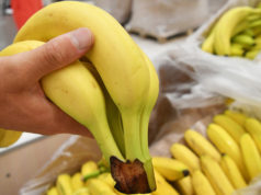 Бананы могут стать социально значимым продуктом в Российской Федерации