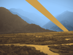 Армения допустила прекращение Ереванским коньячным заводом экспорта в РФ