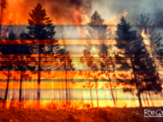 Глава МЧС Куренков вылетел в Курган из-за масштабных пожаров в регионе