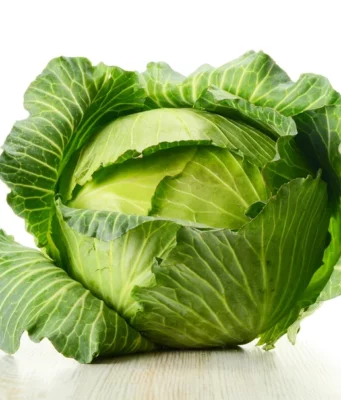 Можно ли капусту при панкреатите?