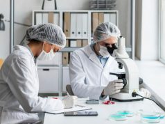 Эмбриологическая лаборатория: мир возможностей