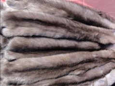 Мех соболя: роскошь в каждом наборе