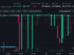 Трейдинг на криптовалюте: Путеводитель в мир цифровых активов