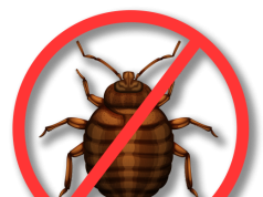 Как избавиться от клопов в Москве: полное руководство для заботливых жителей